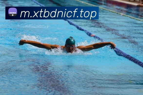 超凡国际平台生态图